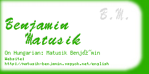 benjamin matusik business card